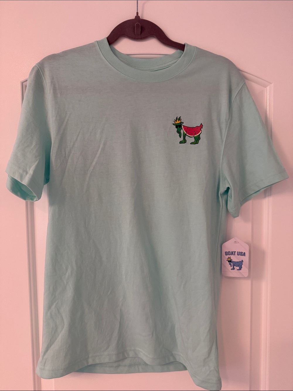 NWT GOAT USA Mint Green Graphic Tee, Men’s XS